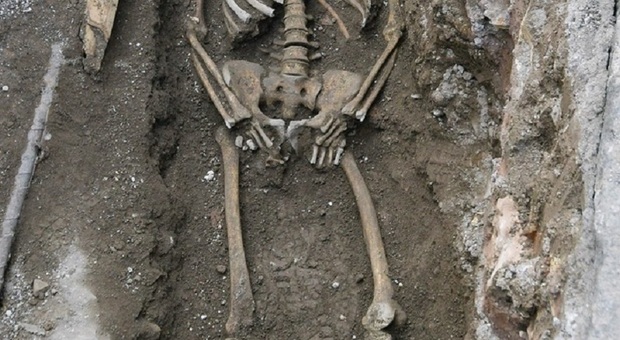 Teschio e scheletro umani trovati nell'erba, macabro giallo a Marghera: «Identità ignota»