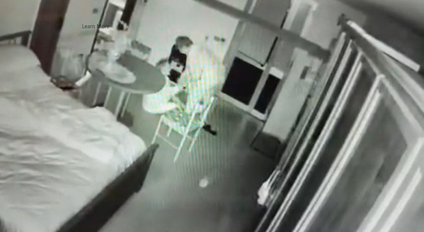 Anziana invalida picchiata col bastone dalla badante, il figlio nasconde una telecamera e riprende tutto IL VIDEO CHOC