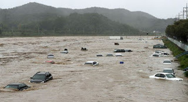 La devastazione provocata dal tifone Chaba in Corea