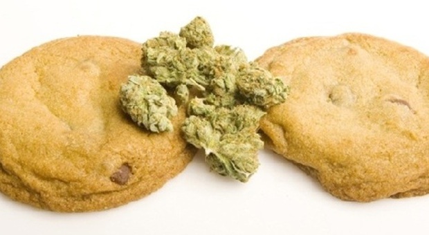 La invitano a cena e porta marijuana: fanno i biscotti e finiscono ricoverati