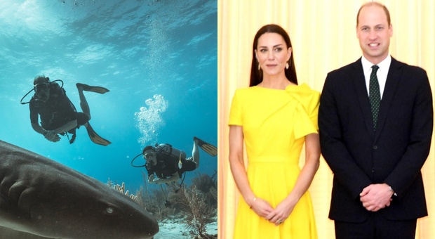 Kate Middleton e il principe William nuotano tra gli squali in Belize: le immagini spettacolari
