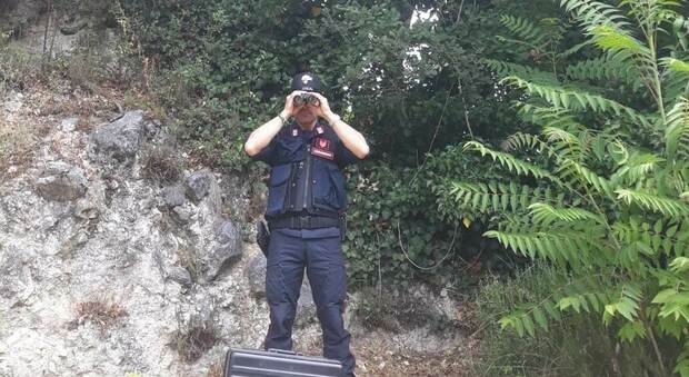 Carabinieri Forestali, nel 2020 in Abruzzo 1050 controlli: 18 denunciati