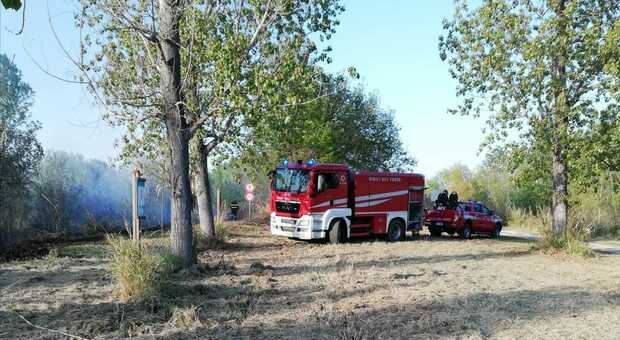 I vigli del fuoco ieri al parco fluviale sul Tenna