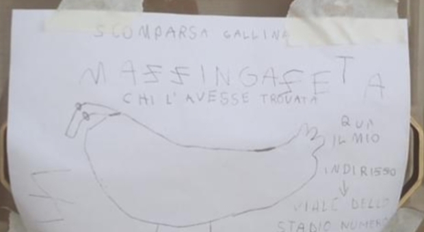 «Mazingazeta è scomparsa, aiutatemi»: bimbo di 5 anni riempie il paese di manifesti per ritrovare la sua gallina