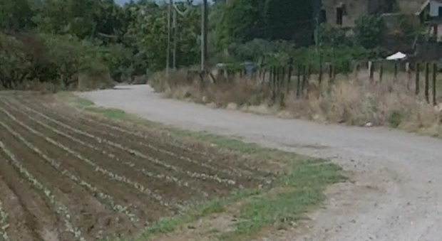 Terra dei Fuochi: così i contadini coltivano mais e cavoli nei campi vietati