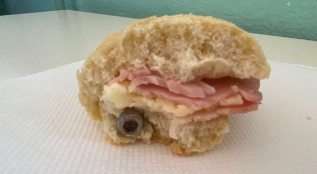 Vite nel panino della mensa a scuola, si dimette il presidente di Milano Ristorazione: «Un colpo al cuore»