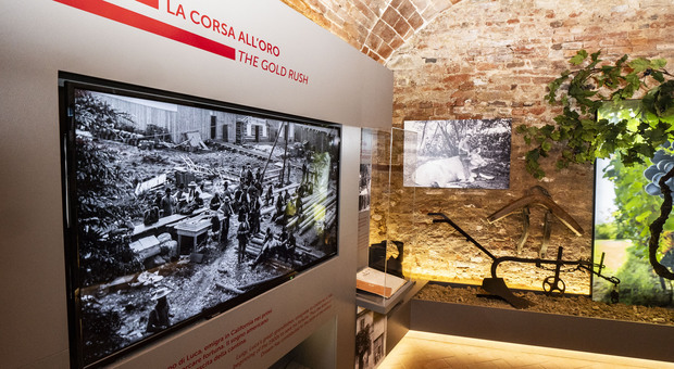 Il 2 settembre apre il Museo del Ruchè a Castagnole Monferrato