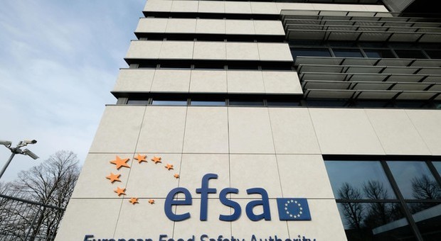 Direttore Efsa, 'agenzie Ue collaborino di più' su salute e ambiente