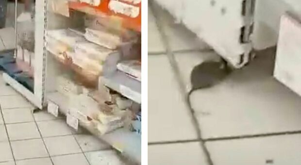 Topo tra gli scaffali del supermercato: la sorpresa dei clienti e il video è virale