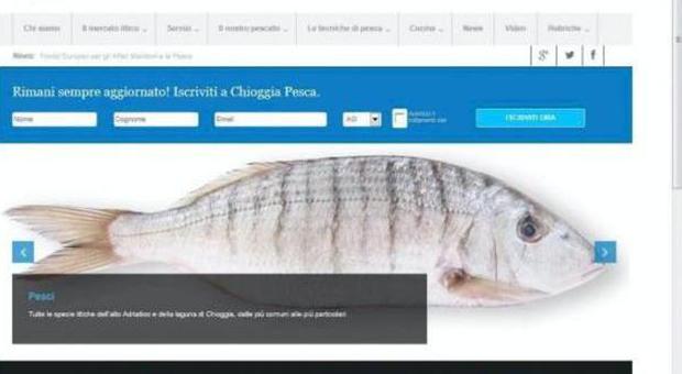 Chioggia, mercato ittico in rete: il pesce si compra via Internet