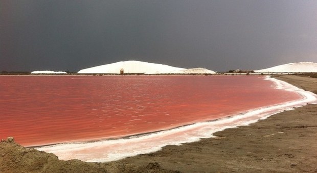Dune bianche, acqua rosa: lo spettacolo della salina più grande del Mediterraneo
