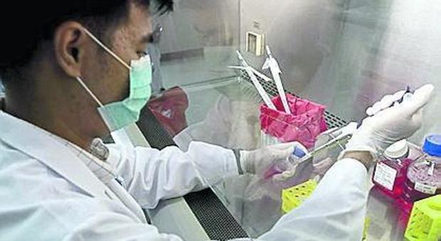 Fbi: «La Cina vuole rubarci il vaccino»