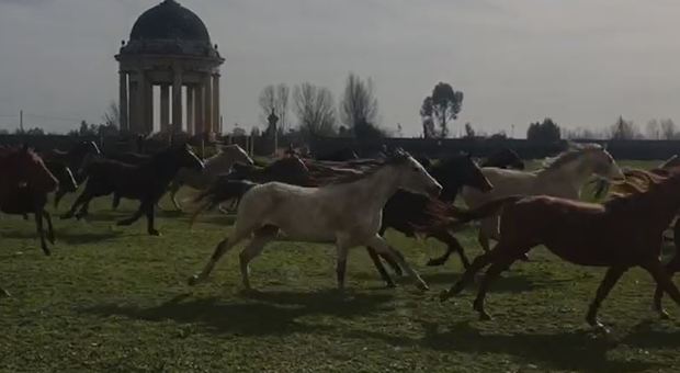 Il 25 aprile al Real Sito di Carditello: la cors dei cavalli all'insegna della libertà