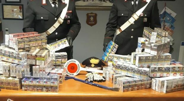 Distrugge e svaligia il distributore di sigarette a Pedaso: ladro inseguito e arrestato dai carabinieri
