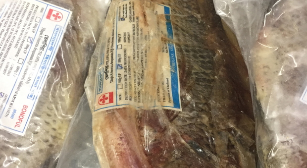 immagine Roma, blatte nel frigo e alimenti scaduti in un minimarket