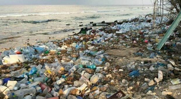 Riciclo rifiuti marini ad Arlena, ok dalla Regione. Indennizzo di 15 miloni di euro al Comune