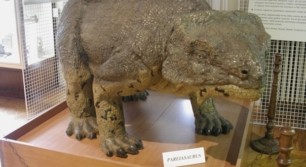 Scoperti in Cina i fossili dei più “brutti” antenati dei dinosauri