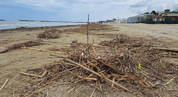 Porto San Giorgio, La spiaggia piena di detriti: scatta il piano per la pulizia