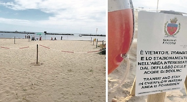 Inquinamento dopo la mareggiata: tratti di spiaggia vietati