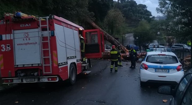 Maltempo, albero cade ai Colli Aminei: tre auto distrutte