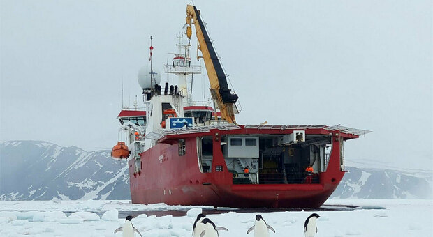 Una rompighiaccio mai così a sud in Antartide, nuovo record della nave italiana Laura Bassi Dov'è
