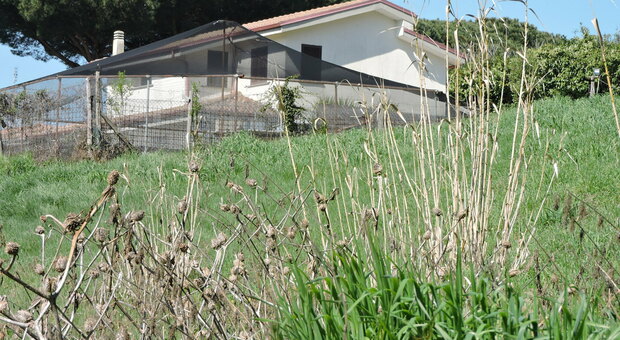 Imprenditore rapinato a Genzano: nella villa sequestrati anche giardiniere e colf Ingente bottino