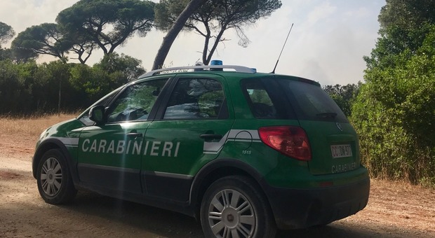 Bracconieri in azione nella Riserva Naturale di Ostia. I carabinieri forestale denunciano due pensionati