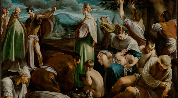 Intrigo internazionale per la tela di Jacopo Bassano. Il Tar: «Torni in Italia»