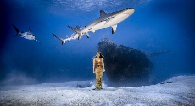 Bahamas, la modella "sfila" tra gli squali