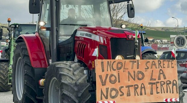La protesta degli agricoltori arriva a Udine: sfilano in corteo 70 trattori, dallo stadio fino a piazza Primo Maggio