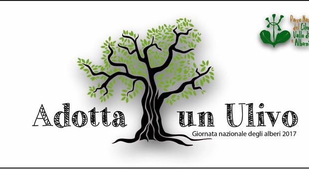 Adotta un Ulivo: il Parco del Cilento Vallo di Diano e Alburni partecipa alla Giornata nazionale degli Alberi