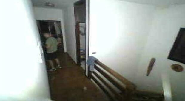 Il ladro ripreso dalle telecamere in un'abitazione di Vigonza