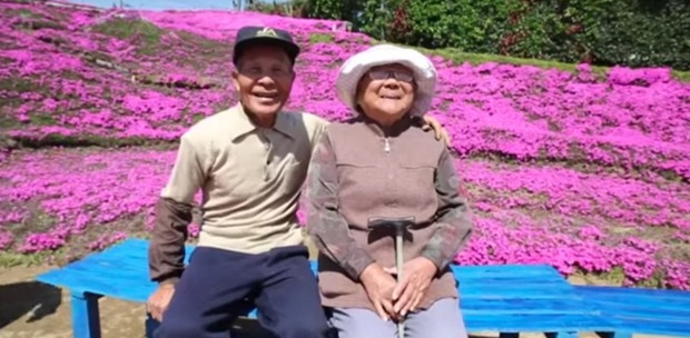 Giappone, la moglie diventa cieca e cade in depressione: lui pianta migliaia di fiori per attirare turisti che le facciano compagnia