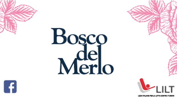 Life in Rosé, i vini di Bosco del Merlo per la Lilt, la Lega contro i Tumori di Treviso