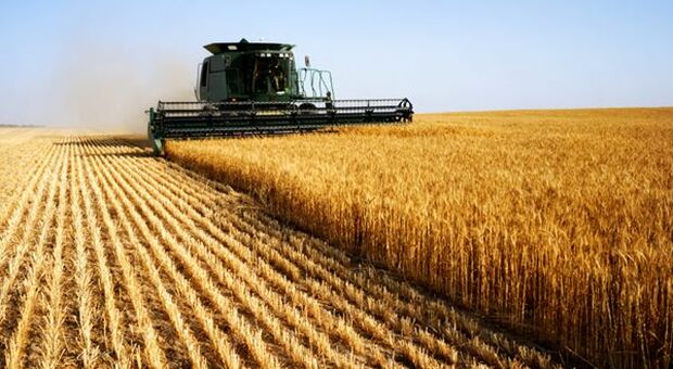 Agricoltura, adozione tecnologie digitali strategica per settore