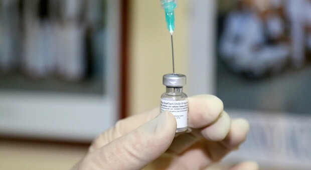 Vaccino nel Sannio, è countdown per 8000 dosi