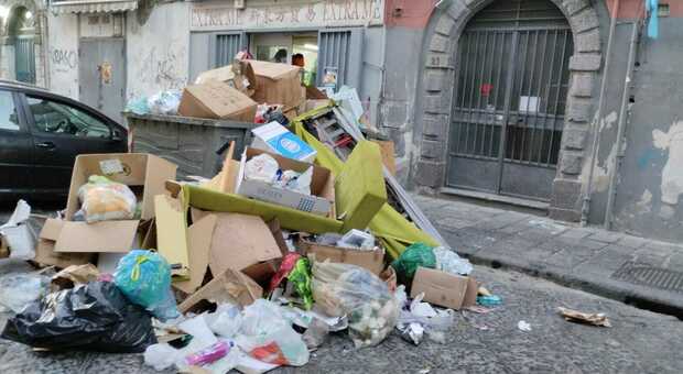 Napoli, emergenza rifiuti e invasioni di topi a via Carriera Grande