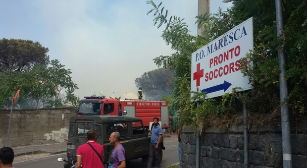 Incendio in una pineta privata disagi all'ospedale Maresca