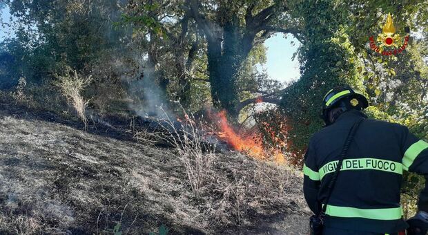Incendio a Castelplanio, in fiamme 10 ettari. I vigili arginano il fuoco poco prima delle abitazioni