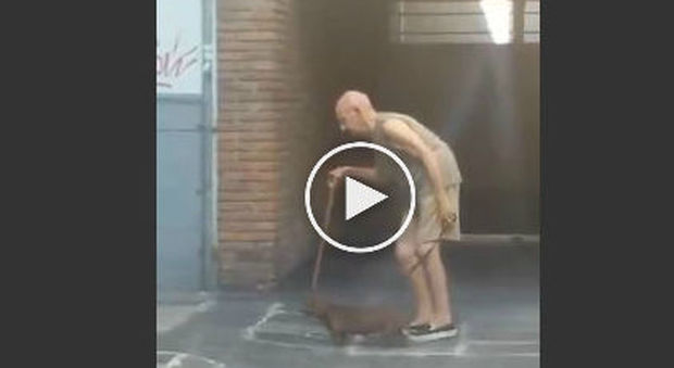 Il padrone anziano porta il bassotto a passeggio: ecco il cane più paziente al mondo