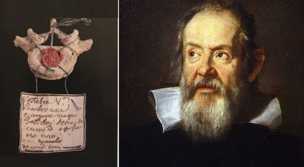 Galileo e la sua vertebra arrivata a Padova nel 1823