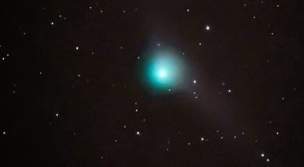 Arriva Catalina, la cometa con due code: visibile il primo gennaio con un semplice binocolo