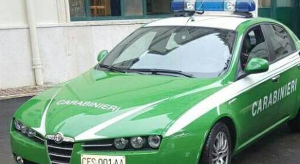 Lo strano caso delle "auto verdi" dei Carabinieri: svelato il mistero