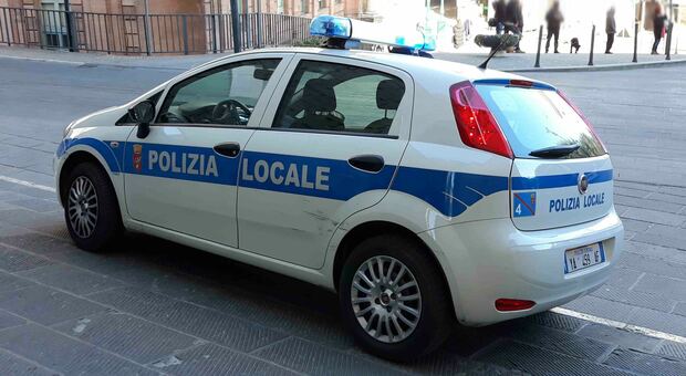 Auto della polizia locale di Perugia