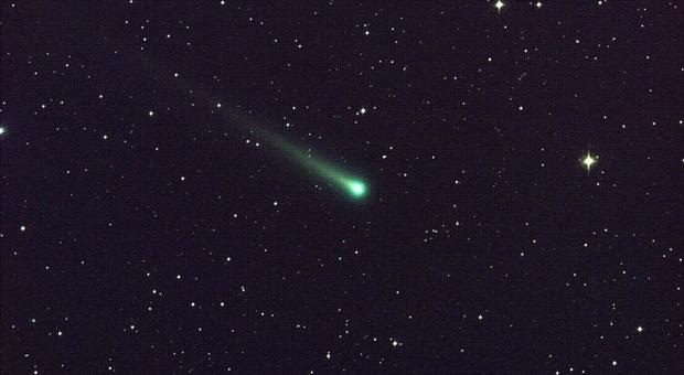 La cometa di Natale è già in cielo: come vederla a occhio nudo