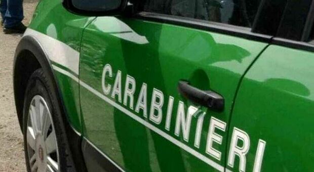Abusi edilizi nel Cilento: intervento dei carabinieri forestali a Perdifumo