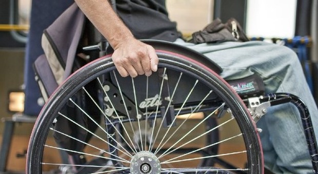 Truffa, invalido sulla sedia a rotelle: ma faceva giardinaggio in piedi