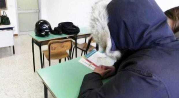 Scuole fredde, temperature in classe ‘da brividi’: studenti tra coperte e proteste