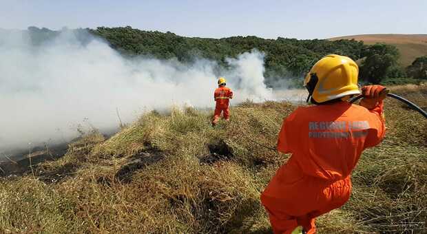 Via alla campagna antincendio boschivo, patrimonio ambientale: Agraria Tarquinia sorvergliato speciale