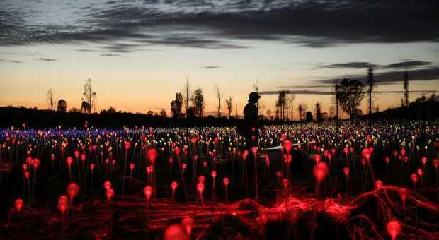 L’Uluru illuminato da 50mila bulbi: l’incredibile installazione dell’artista Bruce Munro